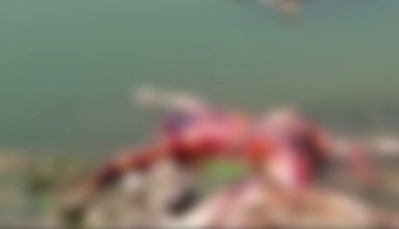 Bihar: The body of dead bodies at the Ganga Ghat in Buxar, while fluttering, said the administration – “Not ours, but UP’s dead”
