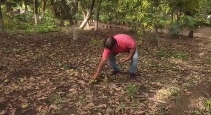 Strong winds and tornadoes cost millions