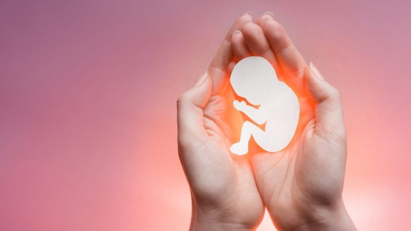 The Delhi High Court refused to allow the abortion of a 23-week-old fetus