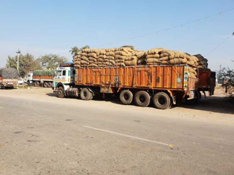 Sangrur farmers protest paddy purchase from other districts
