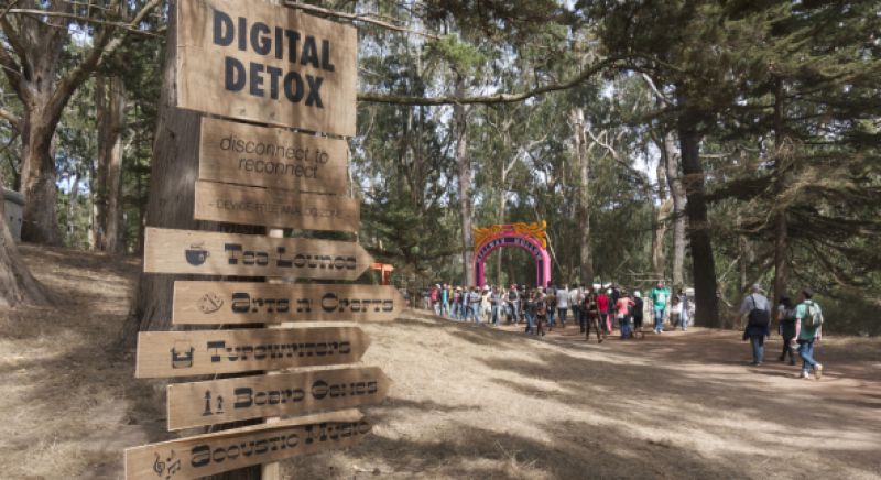 Digital Detox Vacation