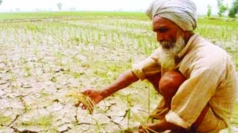 Centre to launch pension scheme for small farmers