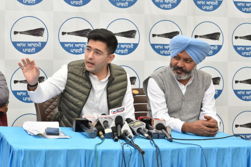 Harpal Cheema and Raghav Chadha
