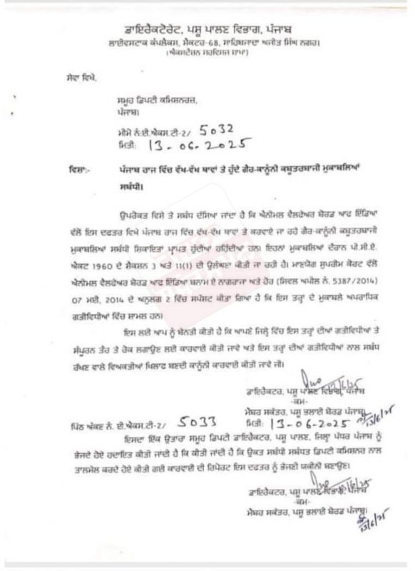 Punjab pigeon racing news in punjabi 