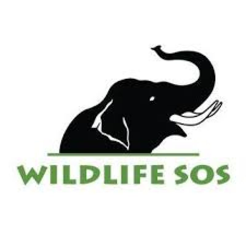 Wildlife SOS
