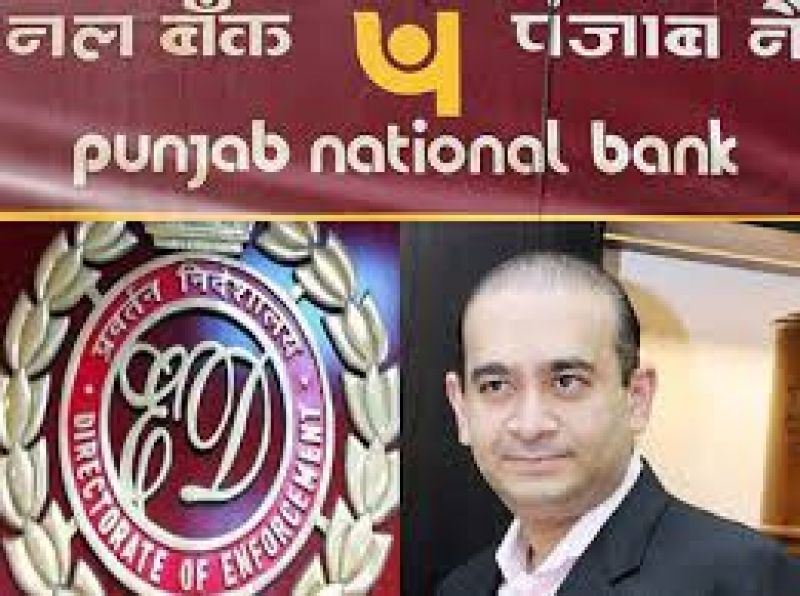 PNB Scam Court Allows ED to Interrogate Accused