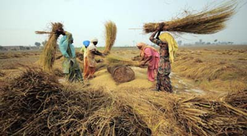 ਪੰਜਾਬ ਦੇ ਲੋਕ ਕਿਤੇ