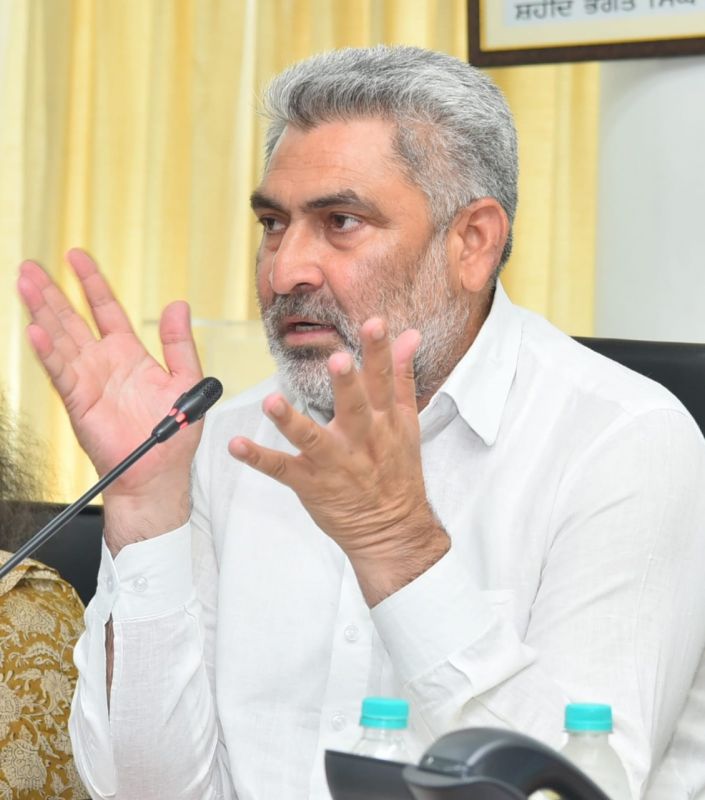 Punjab government will plant more than 80000 saplings to make Mattewara forest more green