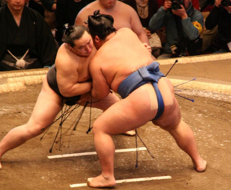  Sumo