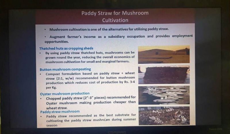 Agricultural University conducts online training course on mushroom production