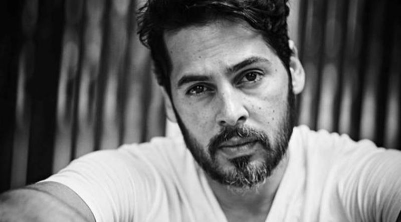 Dino Morea