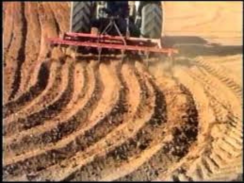 Sowing Moong after Wheat