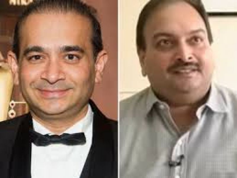 Nirav and Mehul Choksi