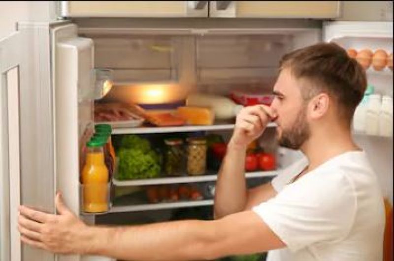 Fridge Smell