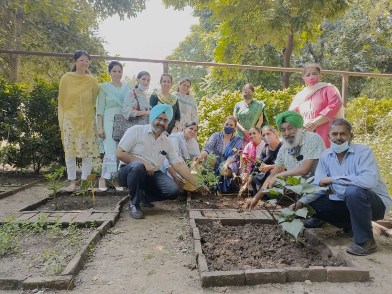 Herbal trees Planting Campaign run by SGGS College Chandigarh