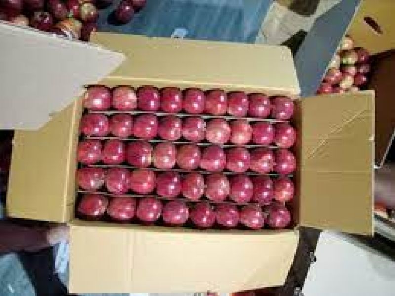 Offered ‘low rates’ by Adani, apple growers in Himachal turn to APMCs