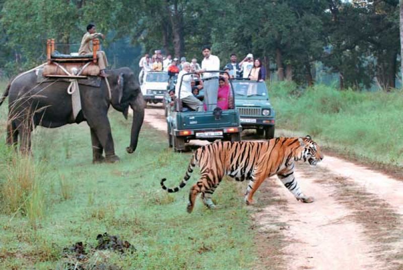 Jim Corbett National Park
