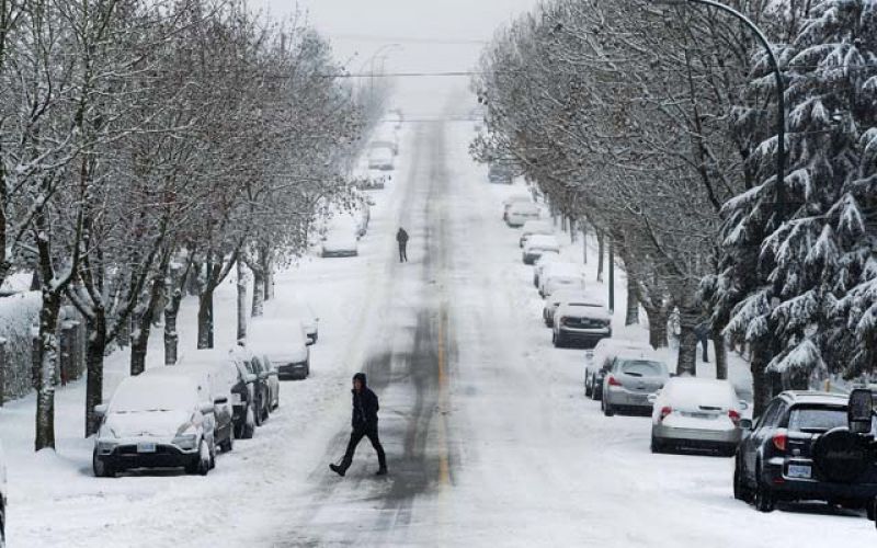 Snow Fall in British Columbia