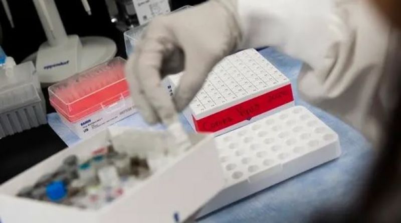 Corona Virus Vaccine 