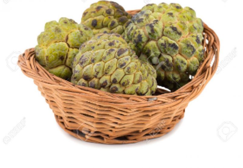 Custard apple 