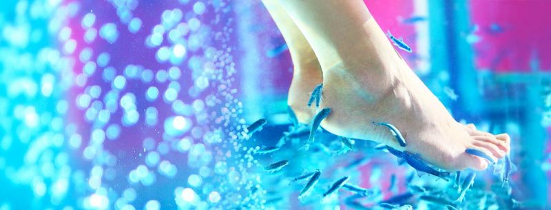 Fish Pedicure