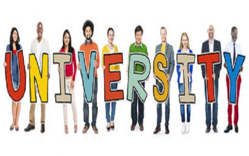 “Delhi Skill and Entrepreneurship University