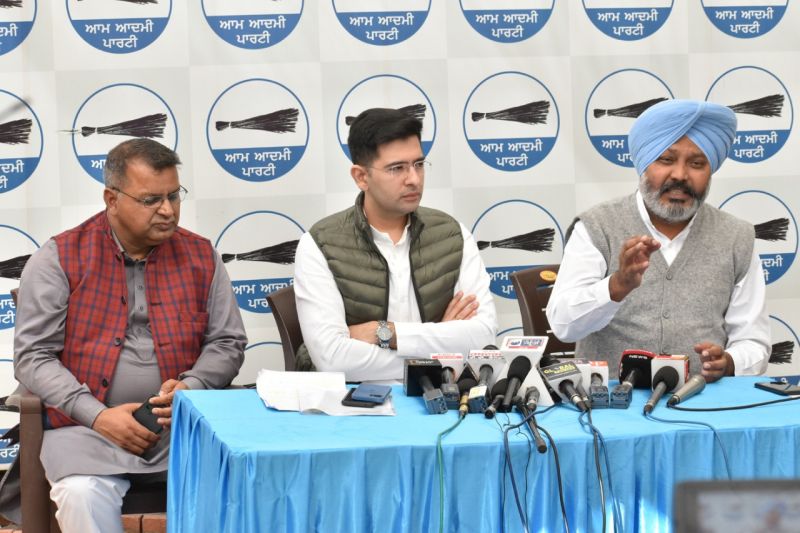 Harpal Cheema and Raghav Chadha