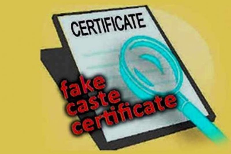 The Fake Certificates