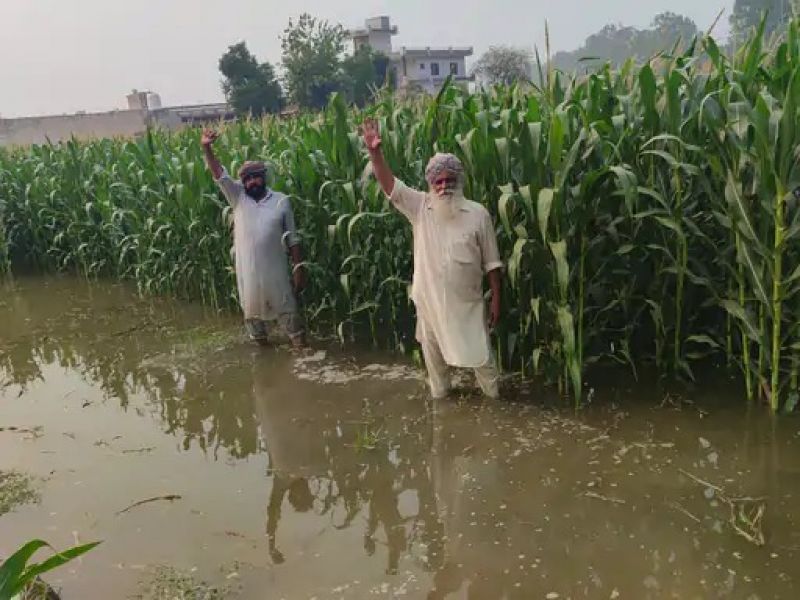 Barnala Rajbaha breaking farmers News in punjabi 
