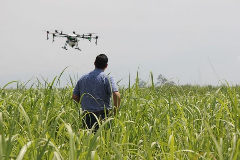 Agriculture wih Drone 