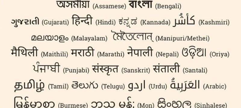 BJP govt imposing Hindi over regional languages