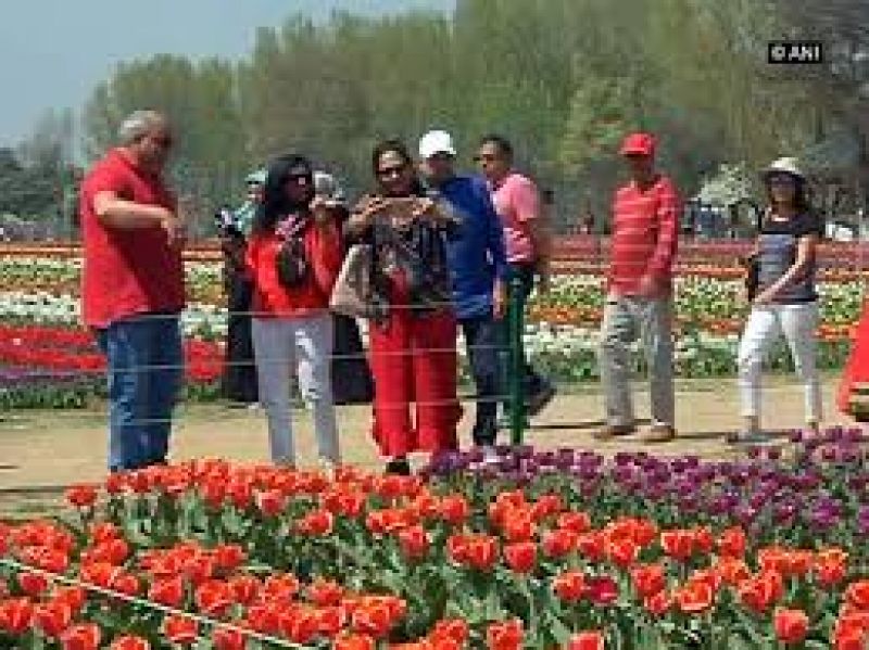 Indira Gandhi Memorial Tulip Garden