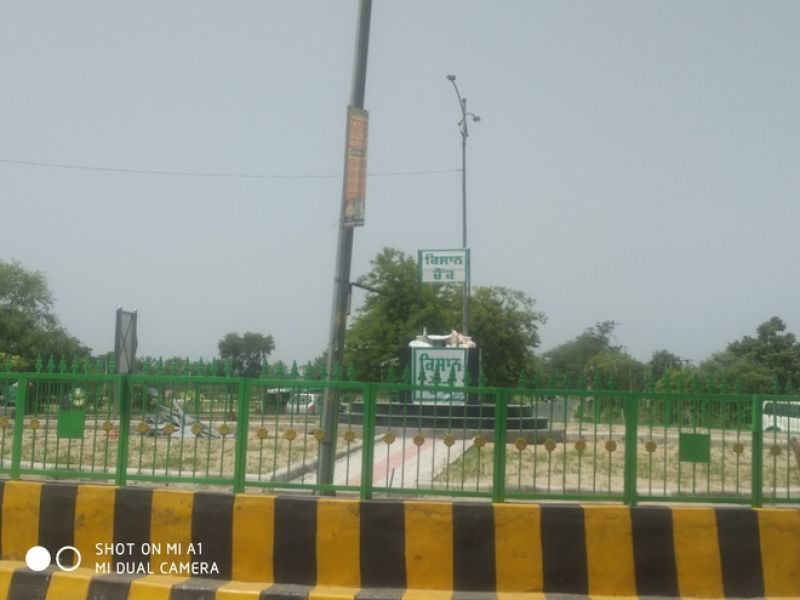 A pair of oxen plowing in Kisan Chowk, Bathinda will enhance the splendor of Bathinda