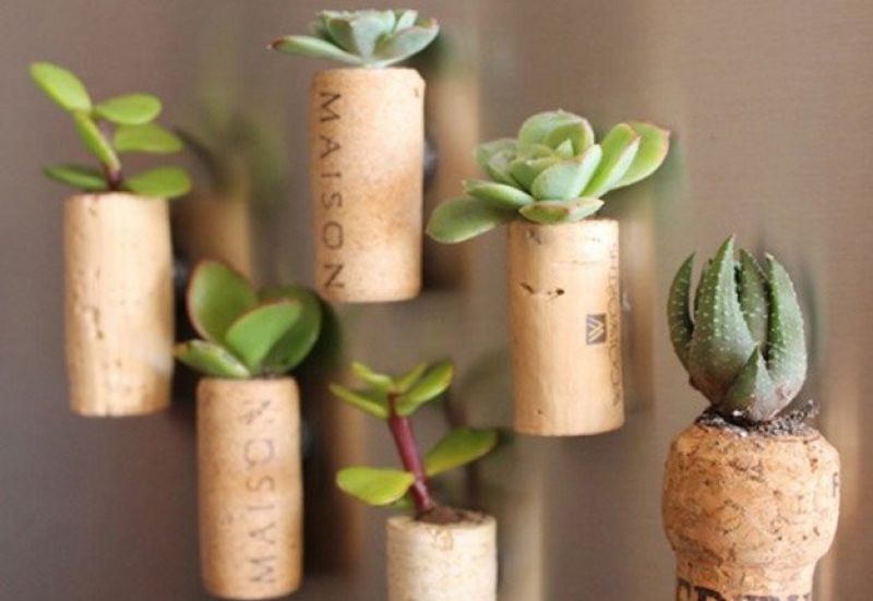 wine cork