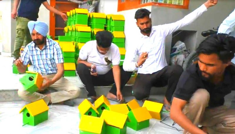 Youngsters from village Dhaula trying to save the birds