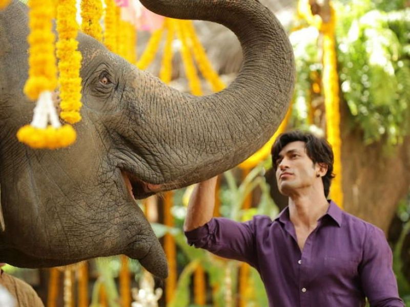 Vidyut Jamwal