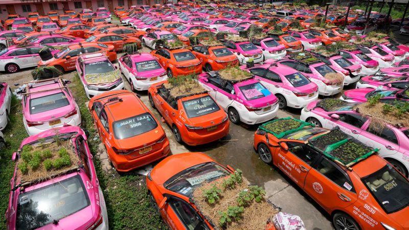  (Farming on the roofs of taxis in Thailand) 