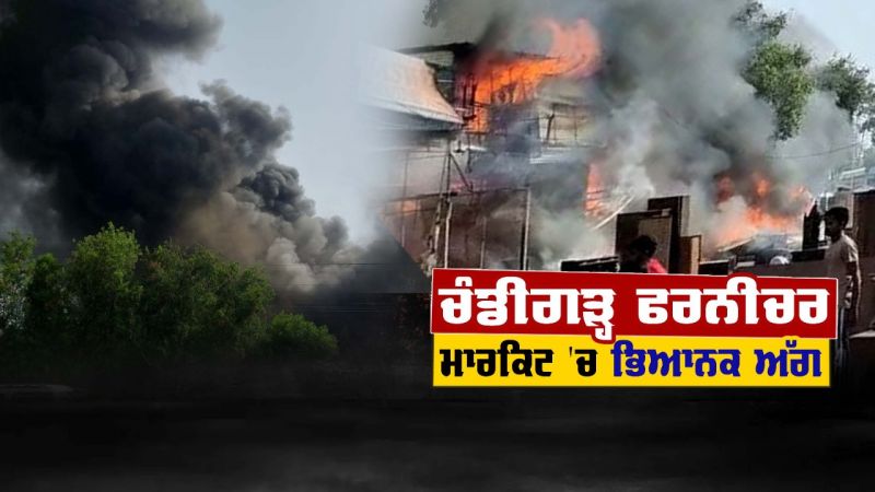 Chandigarh Furniture Market