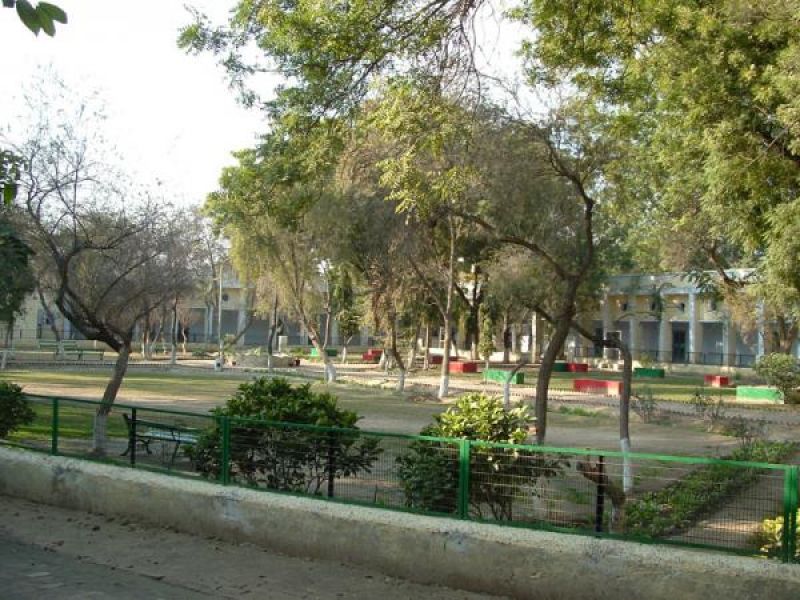 govt rajindra collage 