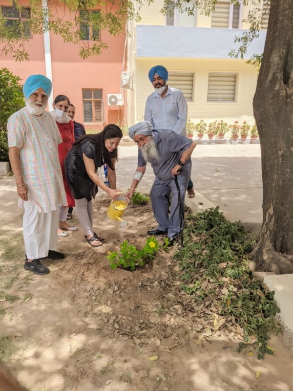 Tree plantation drive