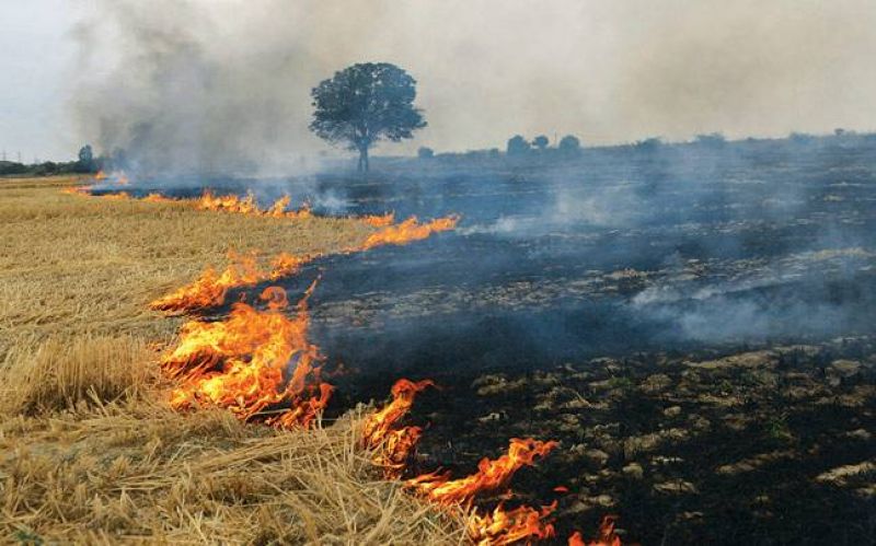 Restricting burning of crop residue