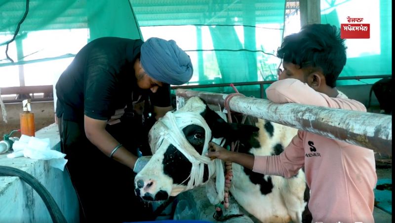 Kamdhenu Gau Dhaam Trust Amritsar