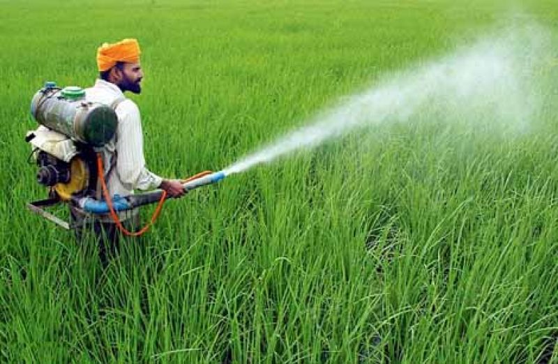 Made in india ddt kill insects deadly for newborns can be reason of dangerous disease