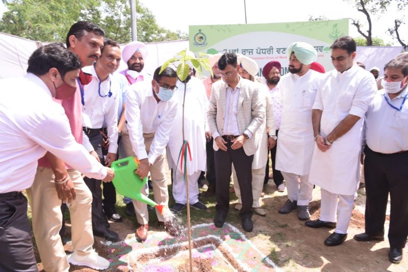 Dharamsot launches slew of projects on 71st Van Mahotsav