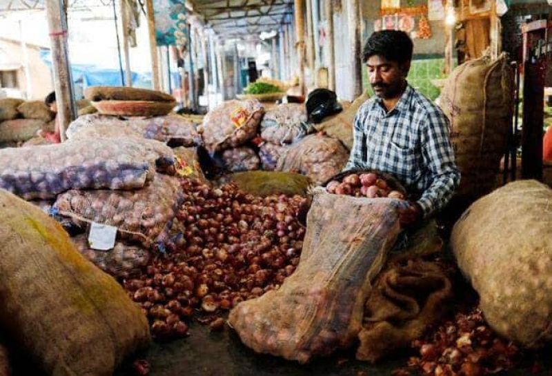 Onion Price 