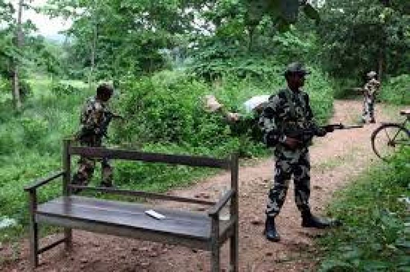 gadchiroli naxal encounter police identify 11 more bodies