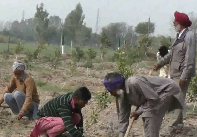 Farmer Gurtej Singh 