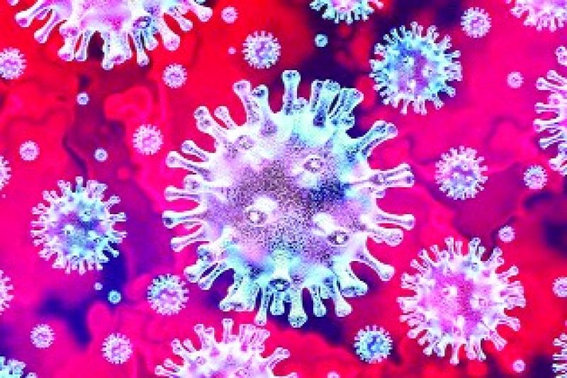 Corona Virus