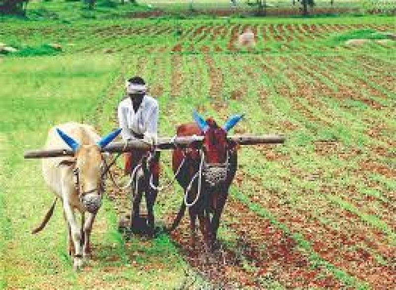 farmers-still-unaware