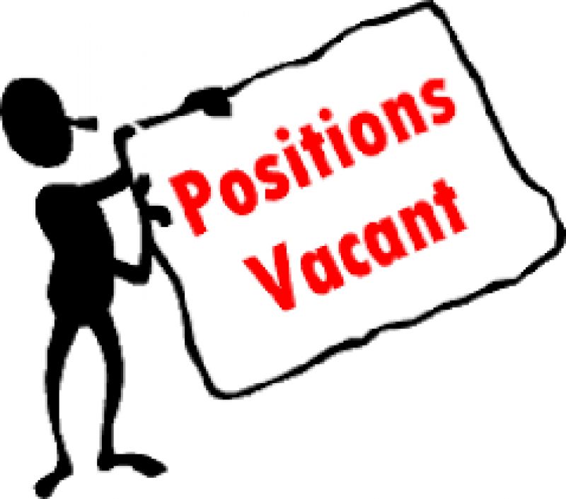 Vacant Posts